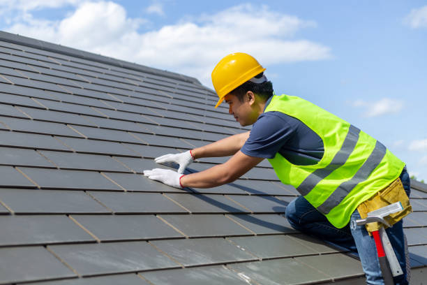 Best Roof Gutter Cleaning  in Bidwell, OH