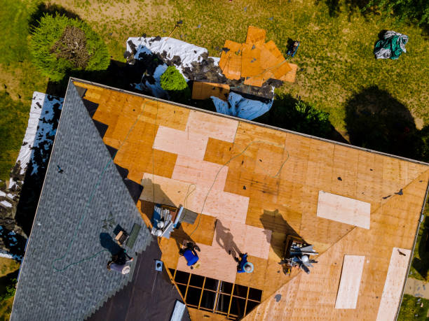 Roof Gutter Cleaning in Bidwell, OH