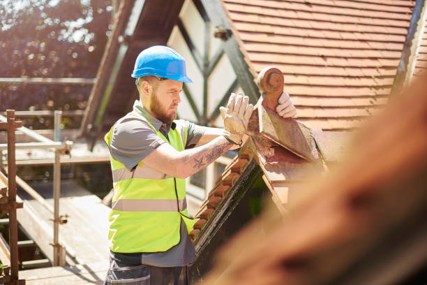 Best Storm Damage Roof Repair  in Bidwell, OH