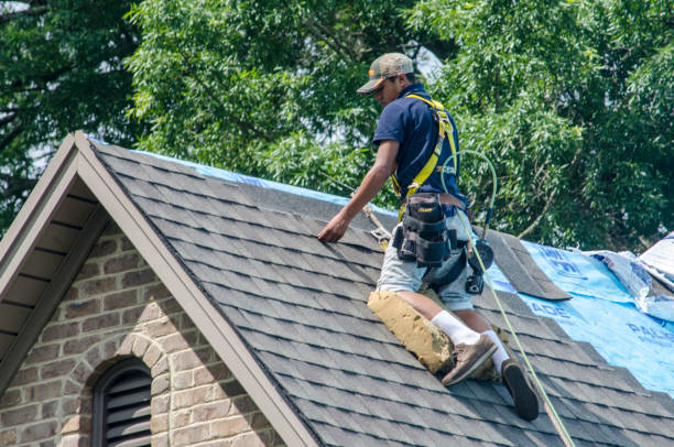 Best Roof Gutter Cleaning  in Bidwell, OH